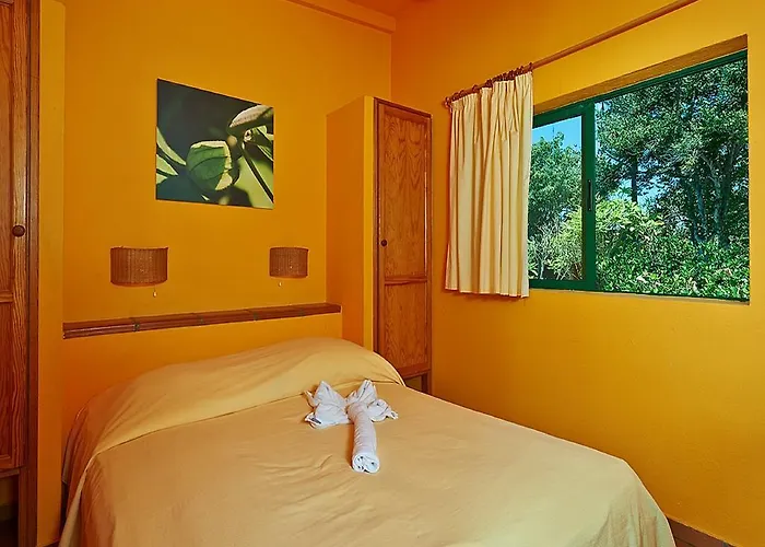 Finca Tropical Tazacorte